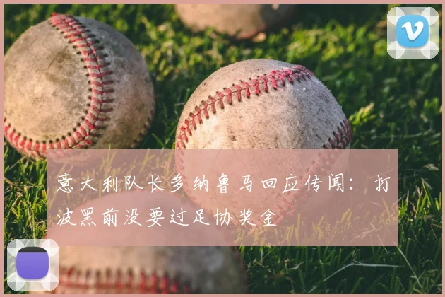 意大利队长多纳鲁马回应传闻：打波黑前没要过足协奖金