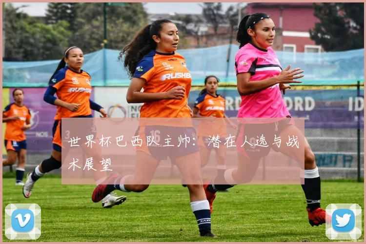 世界杯巴西队主帅:潜在人选与战术展望